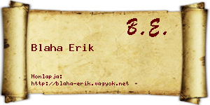 Blaha Erik névjegykártya